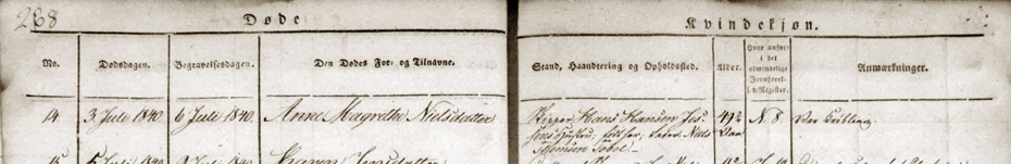 I kirkebogen har pr&aelig;sten anf&oslash;rt, at den anden Anna d&oslash;de som kr&oslash;bling