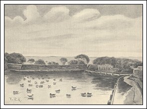 En af de fire fuglekøjer på Fanø, muligvis Albue Fuglekøje. Gengivet efter tidsskriftet Hunden 1907