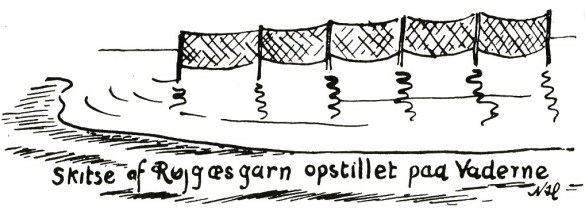 R&oslash;jg&aelig;sgarn opstillet p&aring; vaderne