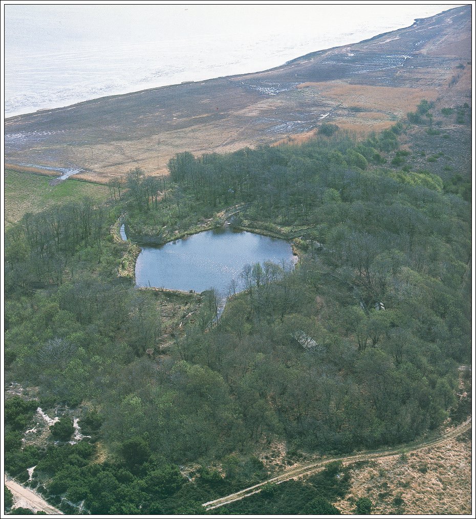 Luftfoto af S&oslash;nderho Gamle Fuglek&oslash;je fotograferet af � Palle Uhd Jepsen