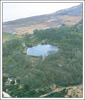 S&oslash;nderho Gamle Fuglek&oslash;je fotograferet af Palle Uhd Jepsen