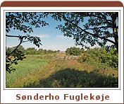 S&oslash;nderho Fuglek&oslash;je