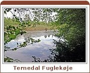 Ternedal Fuglek&oslash;je