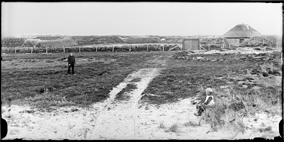 Albue Fuglek&oslash;je fotograferet af fotograf J.N. Kromann