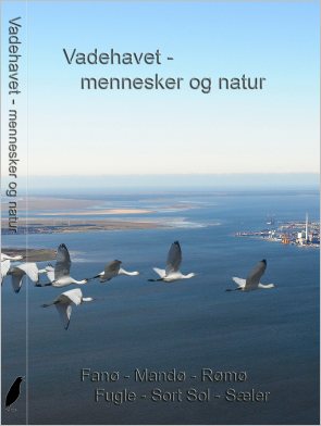 Download gratis pr&oslash;vesider