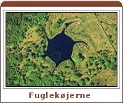 Fuglek&oslash;jerne p&aring; Fan&oslash;