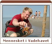 Horst Meesenburg: Mennesket i Vadehavet