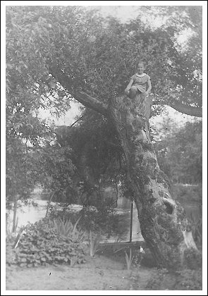 Minder fra Ribe og Fan&oslash;