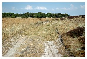 Halm str&oslash;et i hjulsporet til S&oslash;nderho Gl. Fuglek&oslash;je