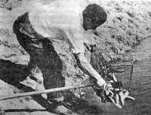 Det store &oslash;jeblik. De f&oslash;rste &oslash;rreder s&aelig;ttes ud i dammen