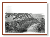 Klitterne ved Fanø Bad