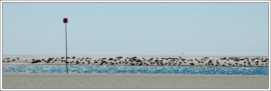 P&aring; s&aelig;lbanken ligger der 722 s&aelig;ler