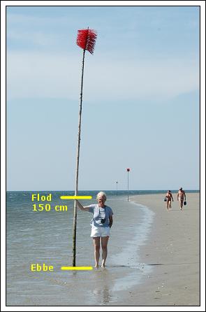 Der 150 cm mellem ebbe og flod