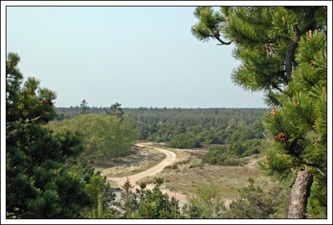 Annesdals Bjerg ved Albuen, Fan&oslash;