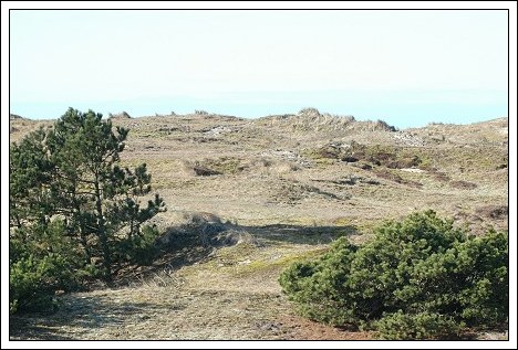 Gr&aring;klitten ved Ved Bavnen og K&aring;verknoldene sydvest for S&oslash;nderho