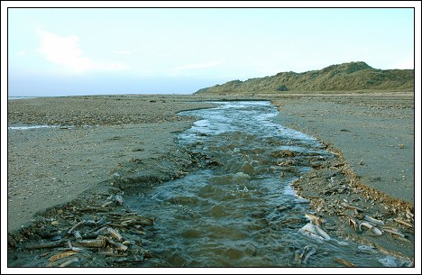 L&aring;dne Bjerge p&aring; Fan&oslash;s sydspids set udefra