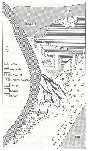 Botanisk kortl&aelig;gning af H&oslash;nen ved S&oslash;nderho i 1970