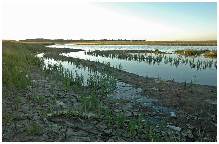 H&oslash;nen ved S&oslash;nderho en sommeraften 2006