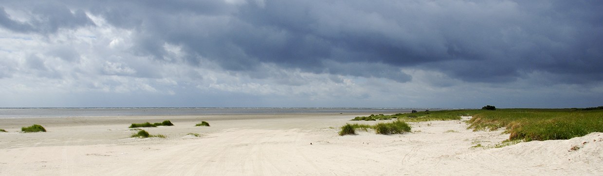 Fan&oslash; Vesterhavsstrand ved S&oslash;nderho