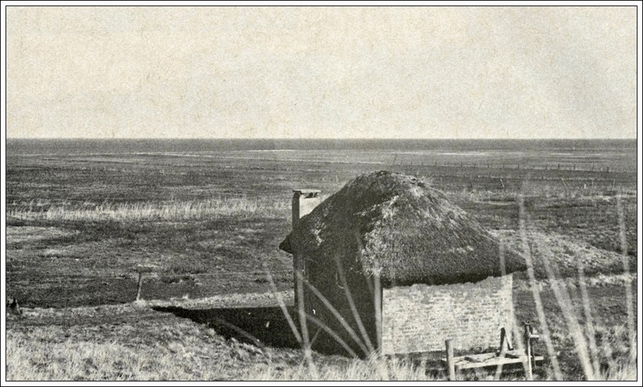 &AElig; burhus eller markmandes hus p&aring; engene